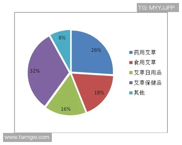 南京网球队的意识探讨与发展现状分析及未来展望